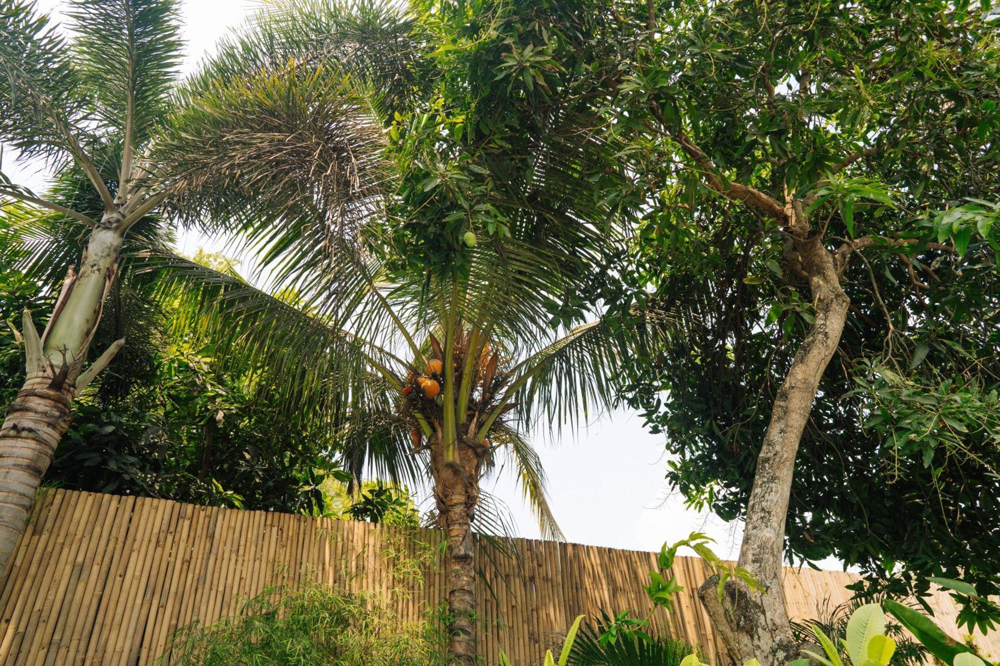 Nomada Villas Kuta  Esterno foto